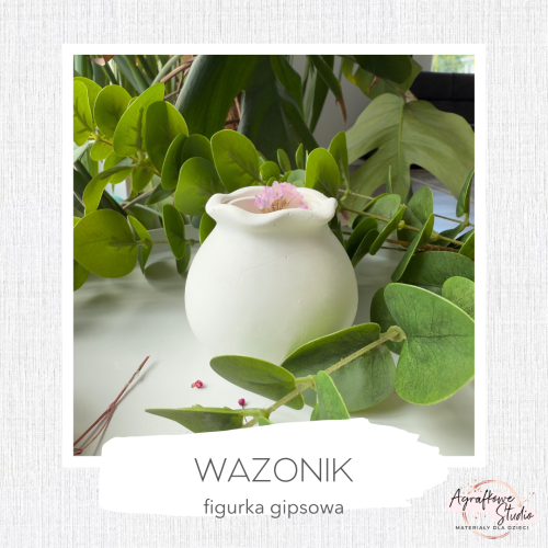 wazonik.png